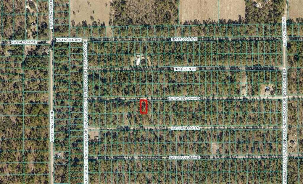WATER OAK, DUNNELLON, Land,  sold, Melissa  Lebron, Ocala Realty World - Selling All of Florida