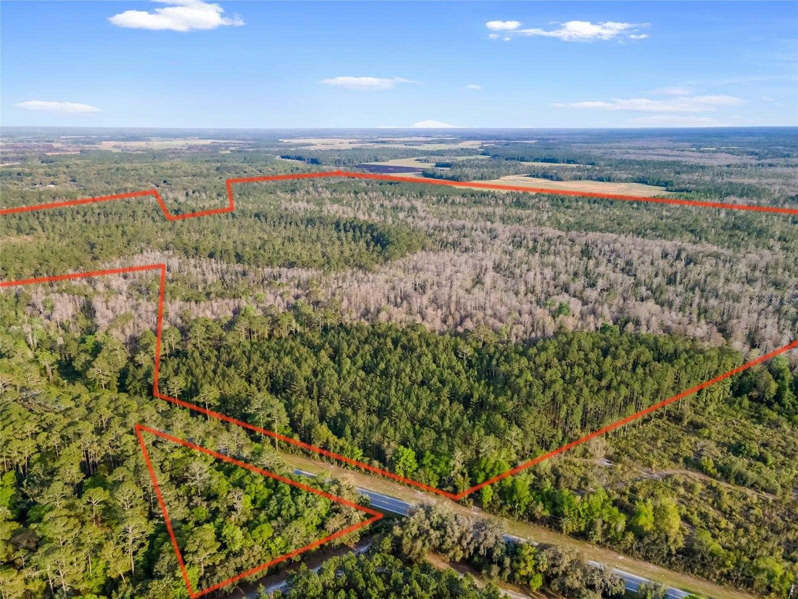 HWY 318, CITRA, Land,  sold, Melissa  Lebron, Ocala Realty World - Selling All of Florida