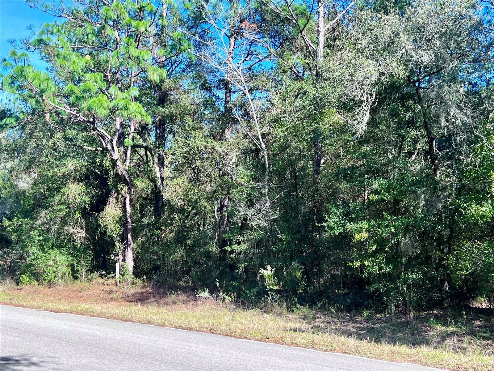 209TH COURT, DUNNELLON, Land,  sold, Melissa  Lebron, Ocala Realty World - Selling All of Florida
