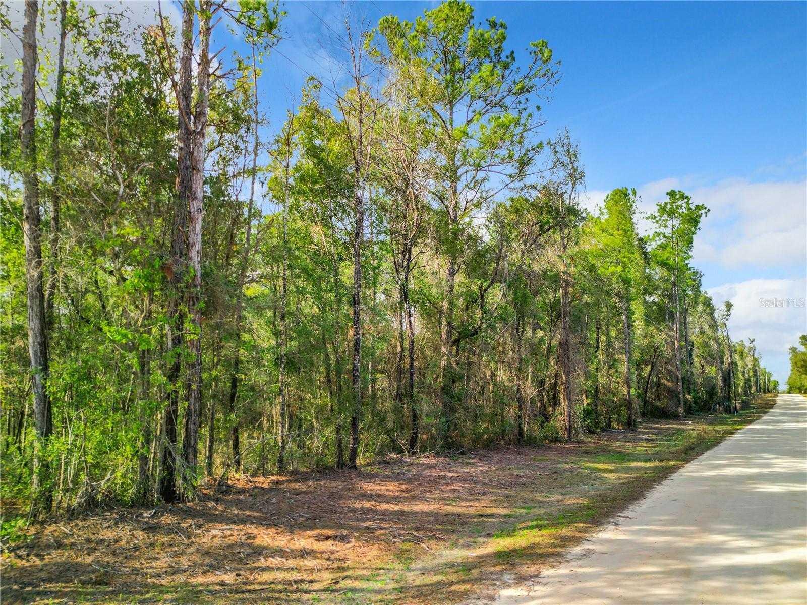 111TH AVE, ARCHER, Land,  for sale, Melissa  Lebron, Ocala Realty World - Selling All of Florida