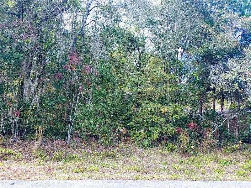 96th, DUNNELLON, Land,  sold, Melissa  Lebron, Ocala Realty World - Selling All of Florida