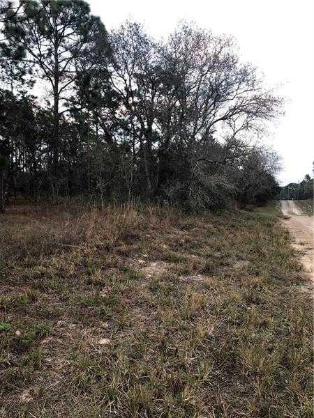 148TH AVE, WILLISTON, Land,  sold, Melissa  Lebron, Ocala Realty World - Selling All of Florida