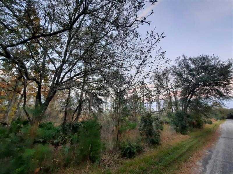 110TH, FORT MC COY, Land,  sold, Melissa  Lebron, Ocala Realty World - Selling All of Florida