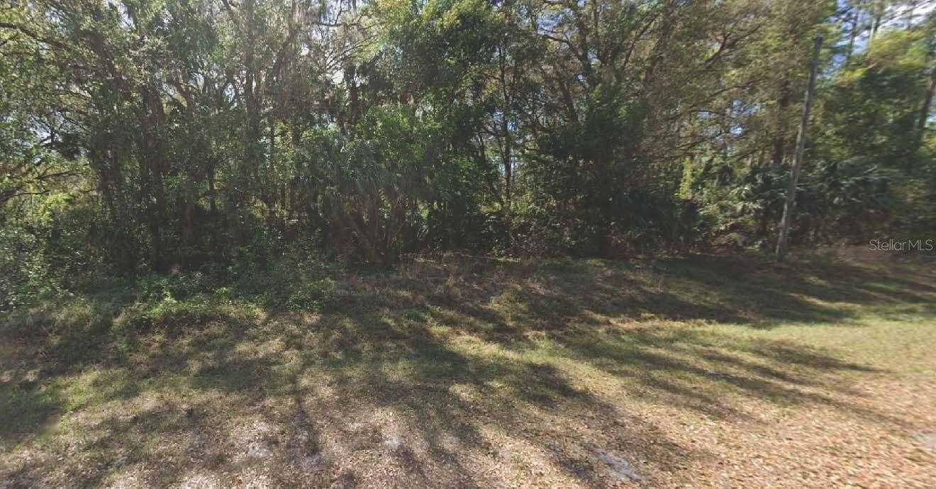 324 EDGEWOOD, GEORGETOWN, Land,  for sale, Melissa  Lebron, Ocala Realty World - Selling All of Florida